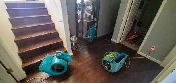 Best Carpet and Upholstery Water Damage Restoration in Kelly Ridge, CA