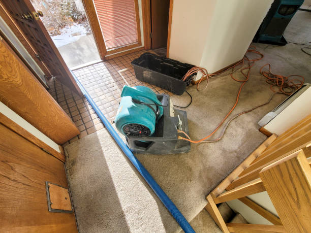 Best Odor Removal and Sanitization After Water Damage in Kelly Ridge, CA